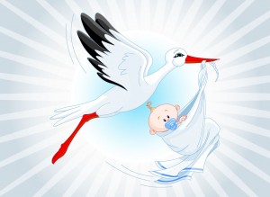 stork-with-baby
